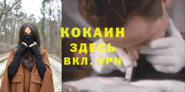 молекула духа Дмитриев