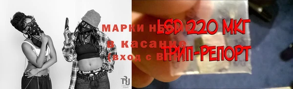 молекула духа Дмитриев