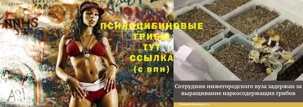 молекула духа Дмитриев