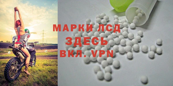 молекула духа Дмитриев