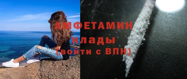 молекула духа Дмитриев